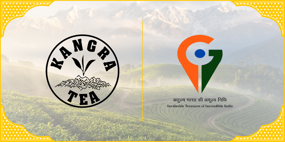 Kangra Tea
