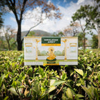 Himalayan Amrit Kangra Herbal Tea (25 Premium Pyramid Teabags)