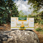 Himalayan Amrit Kangra Herbal Tea (25 Premium Pyramid Teabags)