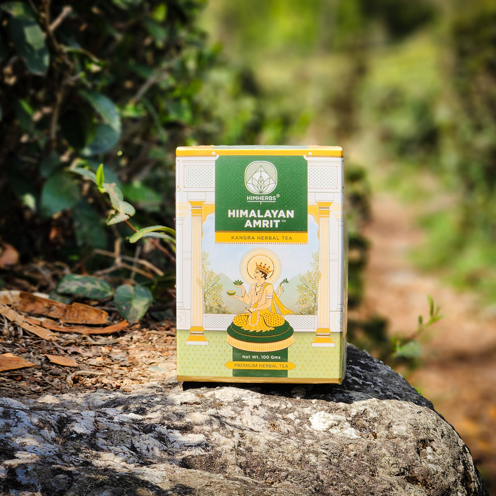 Himalayan Amrit Kangra Herbal (Loose Leaf – 100 Gms)