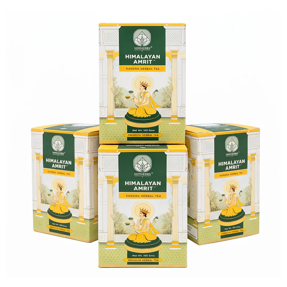 Himalayan Amrit Kangra Herbal Tea – Everyday Pack (Loose Leaf – 100 Gms x 4 Boxes)
