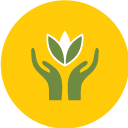 organic herbal tea wellness and purity
